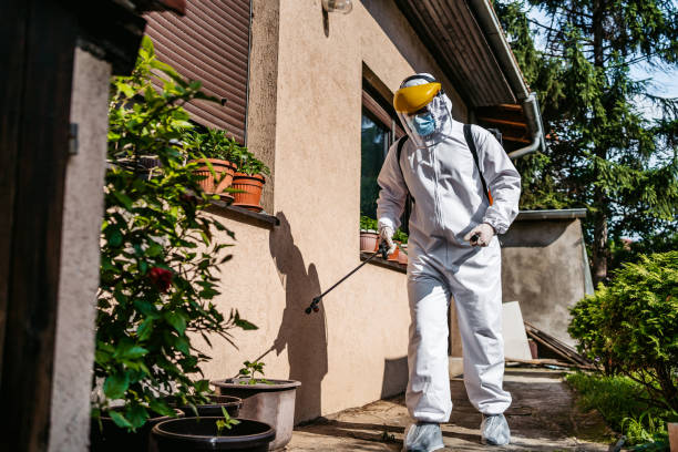 Best Best Pest Control Companies  in Langley, SC