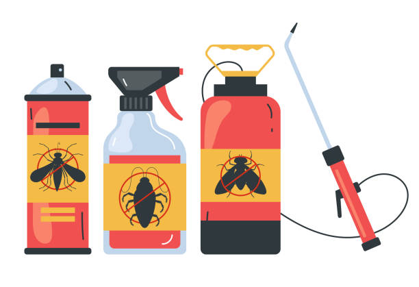 Wasp Removal Services in Langley, SC