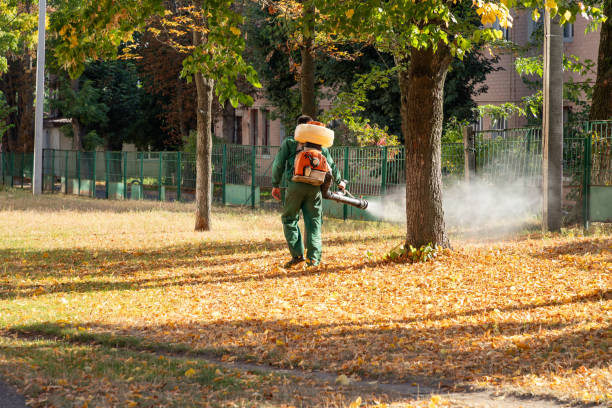 Best Pest Control Near Me  in Langley, SC