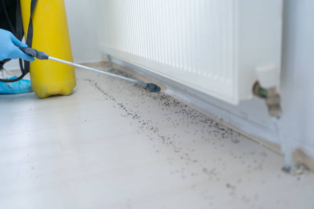 Best Pest Prevention Services  in Langley, SC