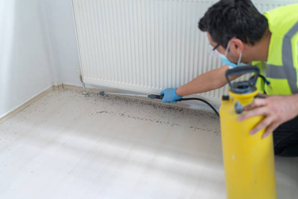 Best Cockroach Control Services  in Langley, SC
