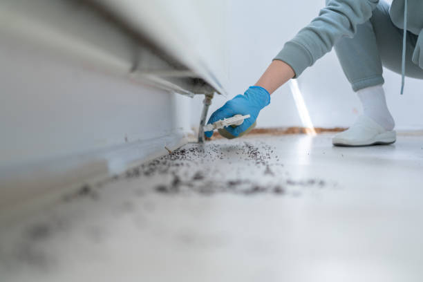Reliable Langley, SC Pest Control Solutions