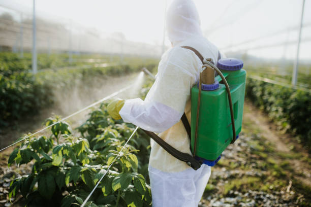 Wildlife Control Services in Langley, SC